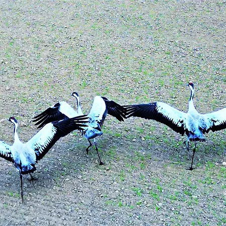 Апартаменты View - Super Widok Na Jezioro, Parking, Winda, Netflix I Prime