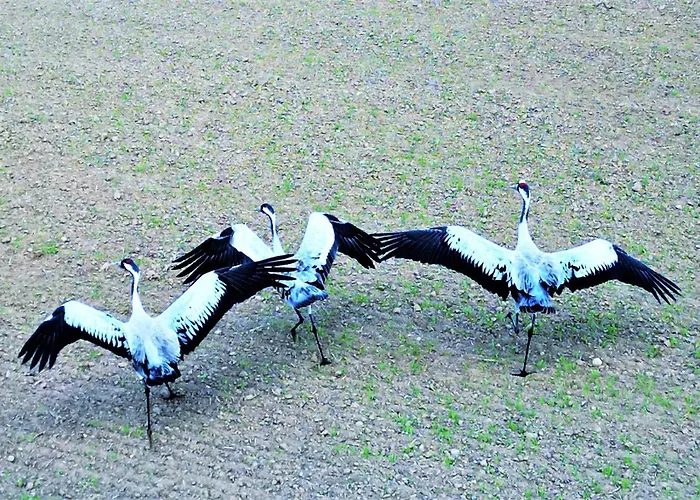 Apartmán View - Super Widok Na Jezioro, Parking, Winda, Netflix I Prime